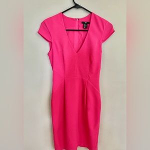 Barbie Pink Fitted Cap Sleeve Sheath Dress